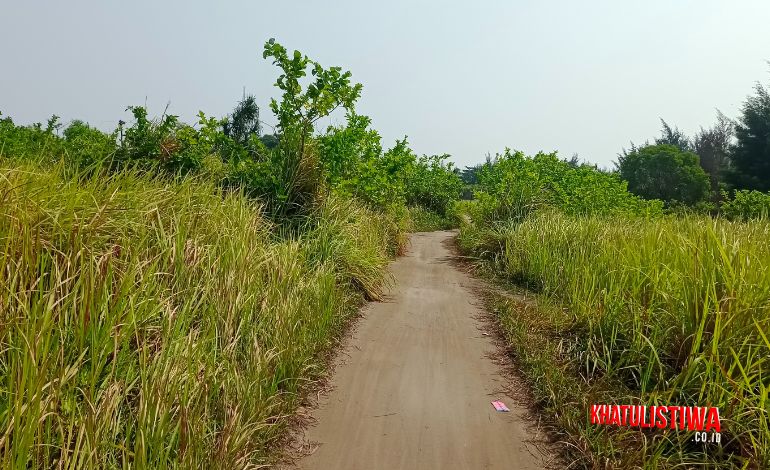 Jalan setapak menuju pantai tanjung rengge pulau pari