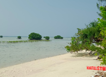 Pantai Tanjung Rengge Pulau Pari masih alami